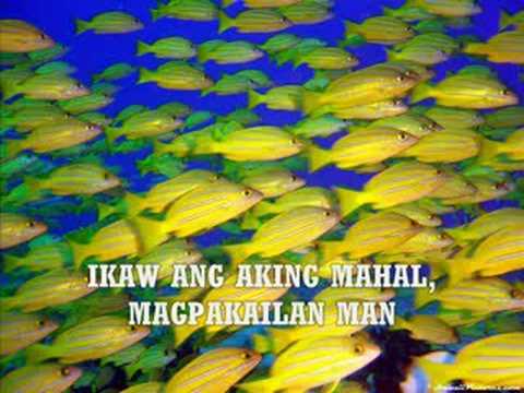 Josh Garcia - Ikaw Ang Iibigin Ko