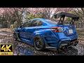 Forza Horizon 6 RTX 5090 Showcase 4K Ray Tracing Max Forza Horizon 6 RTX 5090 Showcase 4K Ray Tracing Max