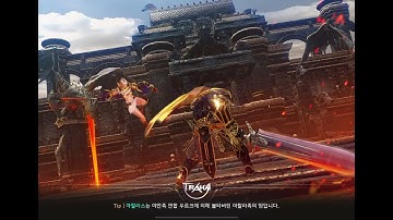 트라하 허접한 활쟁이 협투영상 (중간에 스킬, 패시브, 특성, 코어있음)