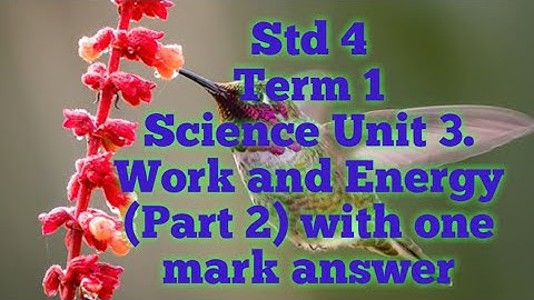 4th std/ science /Term 1/ Unit 3. Work and Energy (part 2)with small activity with one mark answer