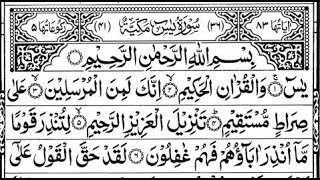 Surah Yasin (Yaseen) Full | سورۃ یس ☘️ | Best Quranic Recitation By Qari Alaa Aqel | Quranic Journey