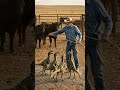 Training My Farm Dinosaur Like a Sheepdog #ai #aicreature #creaturedesign #cinematic #shorts