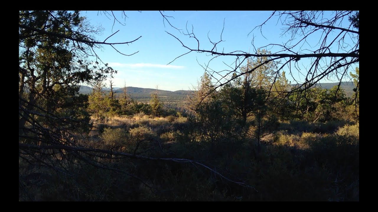 News from Serenity Valley July 2014 YouTube