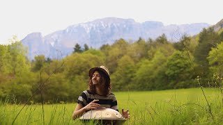 Composed by wild fauna with anthology finale (rerecorded audio)| 30 minutes handpan music | Fred Fk