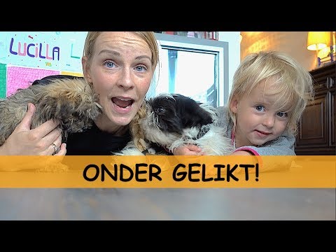 ZiNGEN MET DE PUPPY'S | Bellinga Family Vlog #699 families for children