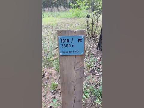 Откуда это название?? - YouTube