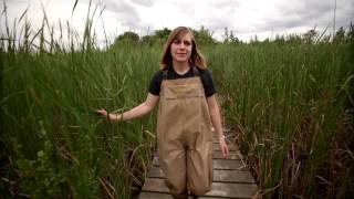 Rachel Gremminger: UWM undergrad researcher since before her first class