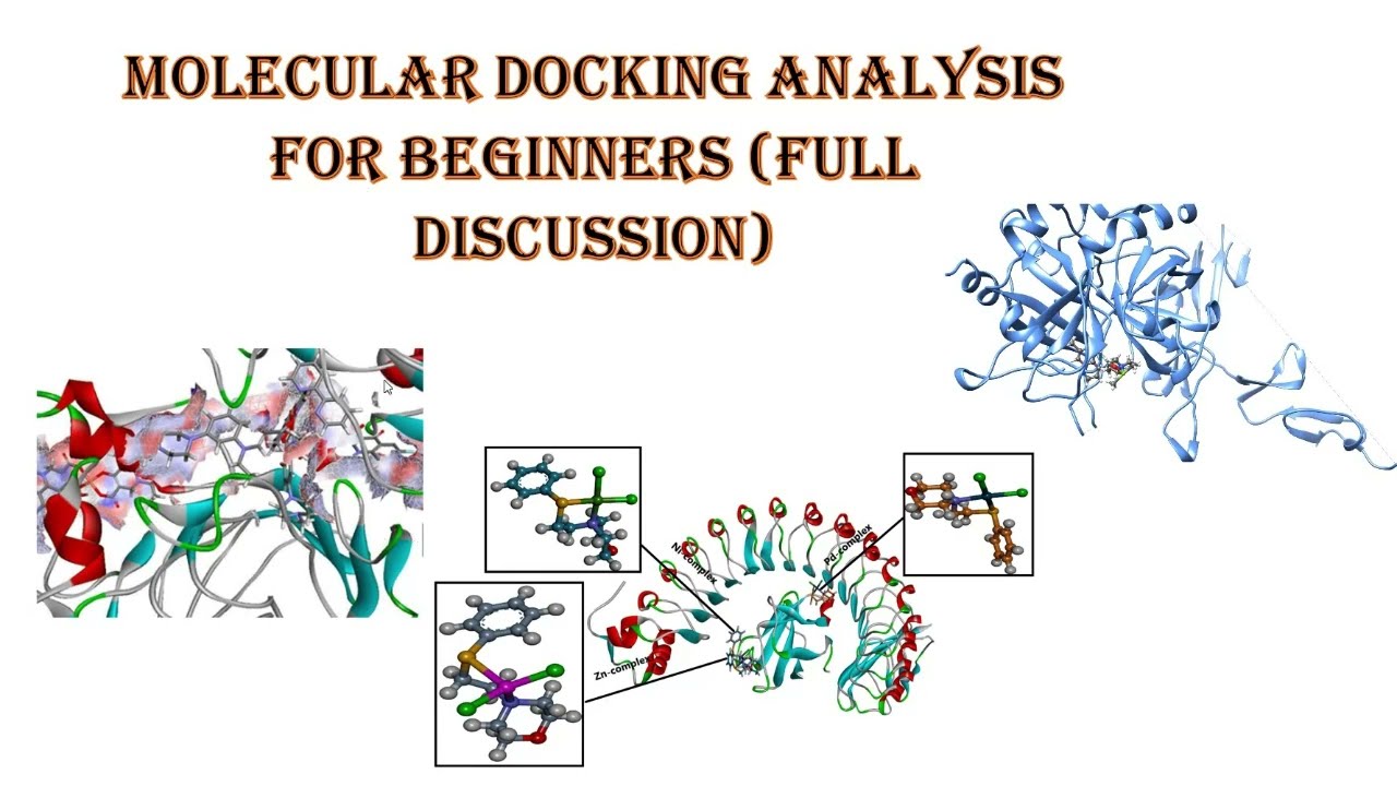  Molecular docking study  