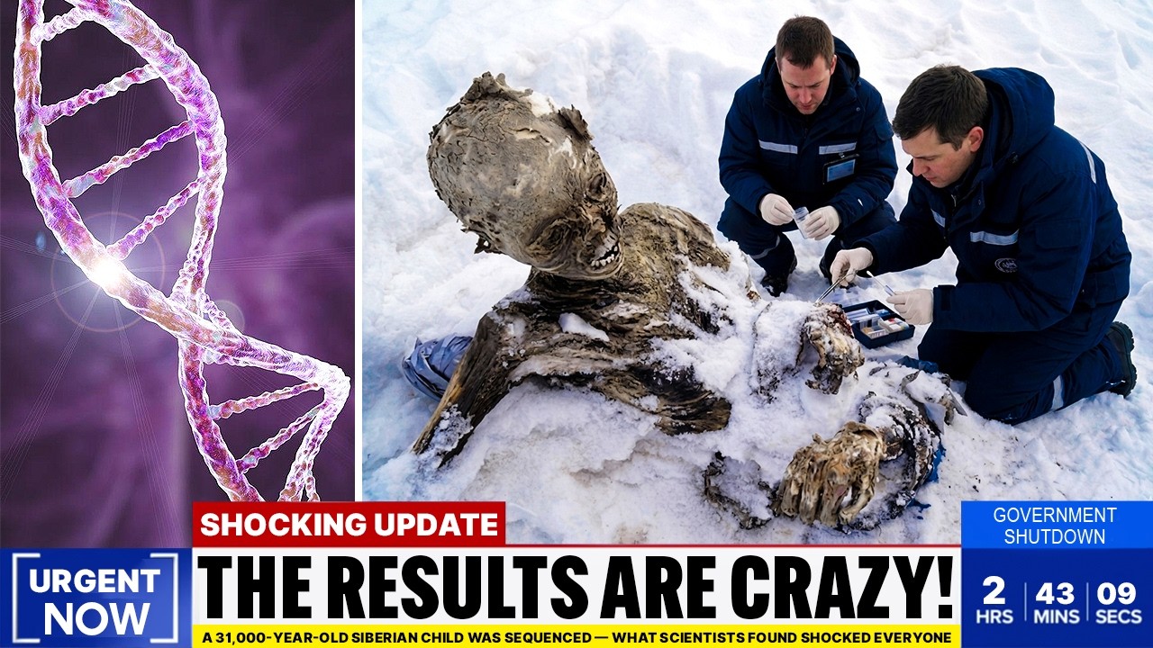 A 31,000-Year-Old Siberian Child Was Sequenced — What Scientists Found Shocked Everyone