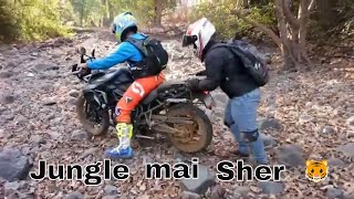 Triumph Tiger Hero Impulse and TVS Apache Off Roading 2019