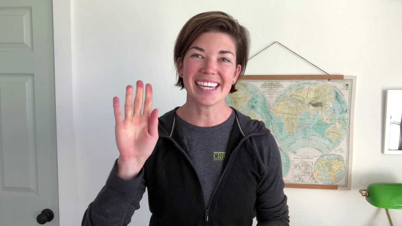 Two Minute Tuesday - Adding Tags to Your Recipes | Plan to Eat