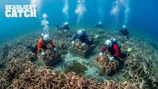 Giant King Crabs Worth Billions Threaten Europes Arctic Waters Fishing Doentary