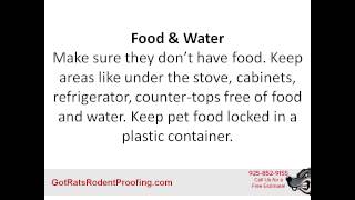 San Ramon Rodent Removal | Got Rats Rodent Proofing