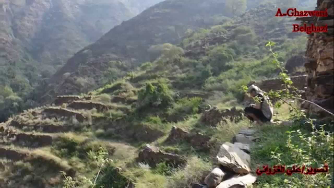 على وين يالدنيا