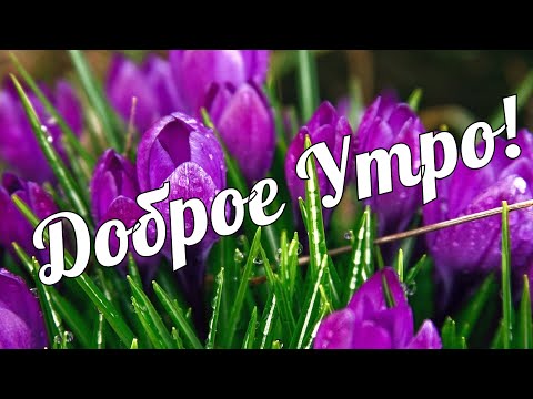 С ДОБРЫМ УТРОМ! Волшебная музыка Сергей Чекалина.