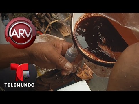 Video: Bacterial Wetwood - Savia sangrante del árbol