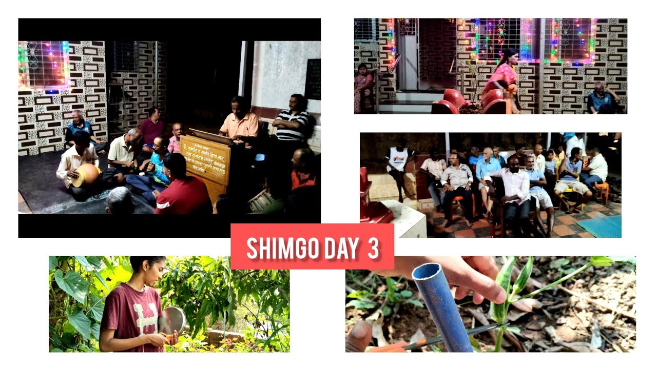 Shimgo Day 3 konkan holi #holi #konkanpremi #minivlog 