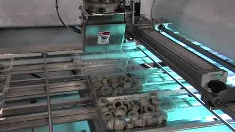 ET 55LM3VGF with Multi head weigher