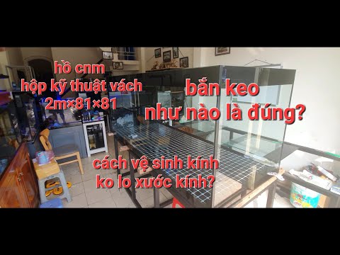 Video Hồ công nghệ hộp kỹ thuật vách - youtube