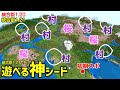 【マイクラ統合版神シード】Ver1.21でもOK。驚愕！初期スポ周りが村ざんまい。これは凄すぎる！初心者もSwitchでも楽しめる！(Ver1.20.73)