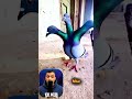 حقيقة الفيديو الذي هز السوشيال ميديا معجزة أم خدعة؟