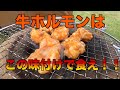 【キャンプ呑み】牛ホルモンとビールで最高の夏呑み！！