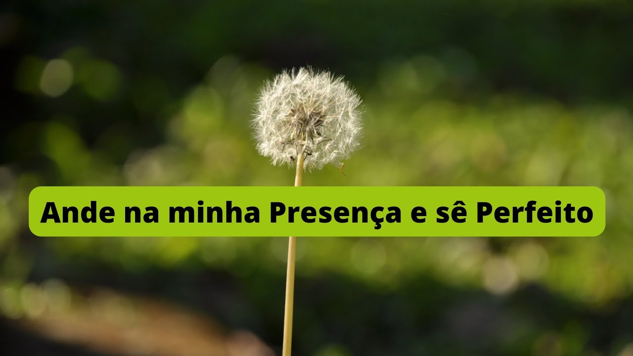 Gênesis 17 : 1 - Abraão, Anda na Minha Presença e sê Perfeito . - YouTube