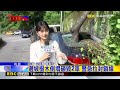 最新》 颱風夜轎車停邊坡旁 遭倒塌樹木樹幹貫穿@newsebc
