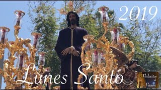 Semana Santa Sevilla 2019 | LUNES SANTO