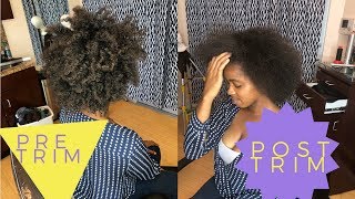 HOW TO: SAFELY Trim 4C Natural Hair| ft. LadyLavish