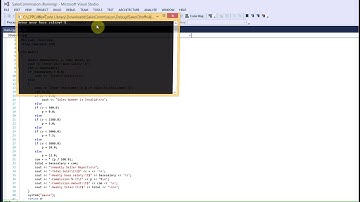 Sales Commission (Visual Studio)