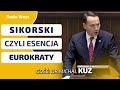 Dr Kuź: Dla SIKORSKIEGO nie ma alternatywy. Jest tylko liberalna elita UE. jest w nim doza zadufania