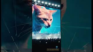 TURN THE SOUND ON.  #ElectronicMusic#EDMVisual#LiveVisuals#ConcertVibes#ElectronicNight