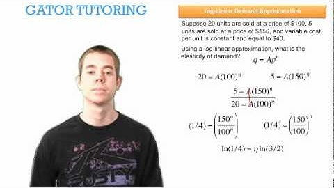 Log Linear Demand Approximation 3