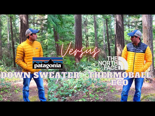 PATAGONIA Down Sweater Jacket Versus Hoody! What is the best deal