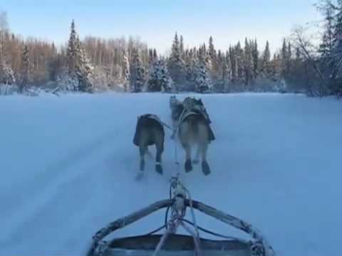sled commands iditarod sled packing doovi sled commands iditarod sled packing doovi