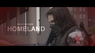 Баки Барнс// Дело №17 Баки Барнс// Дело №17