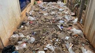 Cleaning Whole House Deep Clean With Me Asmr   