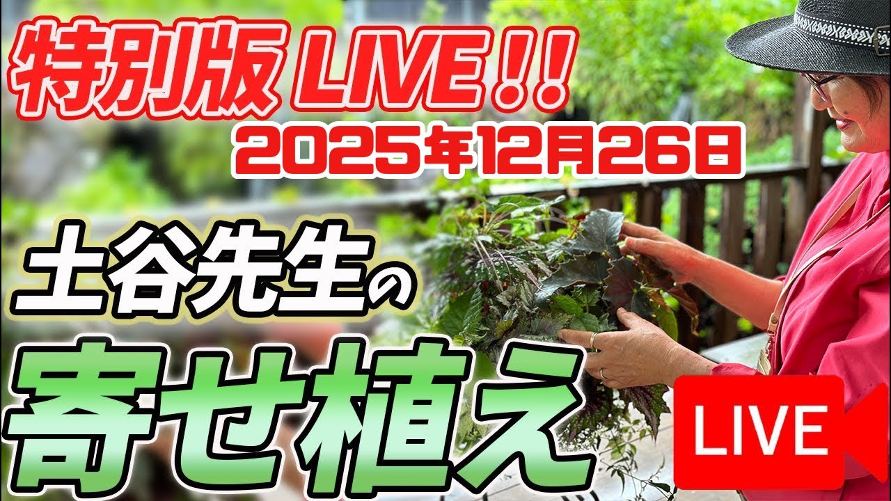 Live Stream》December 26, 2025: We'll be showcasing Masumi