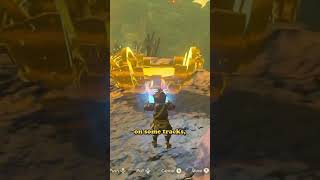 BOTW: Flying Machine #botw #breathofthewild