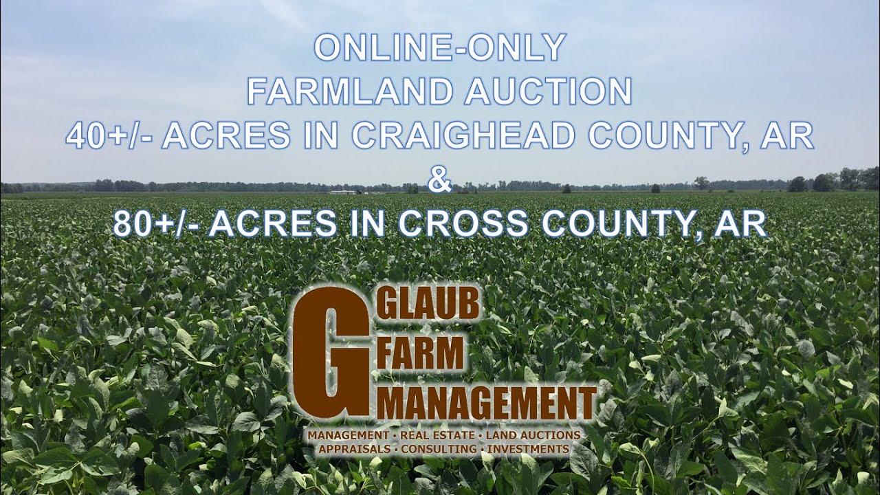 Sold! Auction: Farmland in Craighead and Cross County, Arkansas