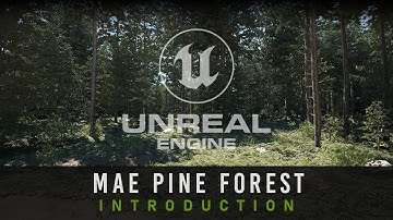 MAE Pine Forest - Unreal Engine (Outdated)