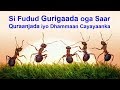 Quraanjada Si fudud oga saar Gurigaada Hadaad ku Aragto Saan Yeel