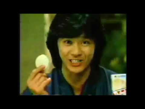 ハウス ポテトチップス CM 西城秀樹