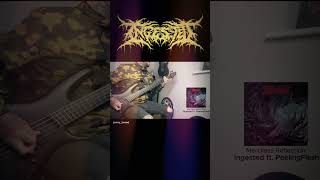 Merciless Reflection - Ingested ft. PeelingFlesh (Bass Cover) #peelingflesh #Ingested #metal #bass