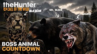 COTW’s Boss Animals Have INSANE Stories… I Ranked Them All | the Hunter Call of the Wild