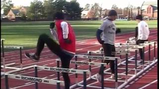 Hurdle Side Step Over