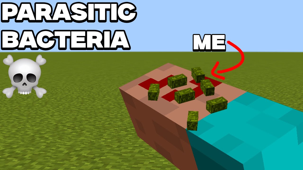 I survived by being a PARASITE in Minecraft