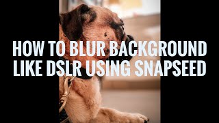 blur snapseed tool using
