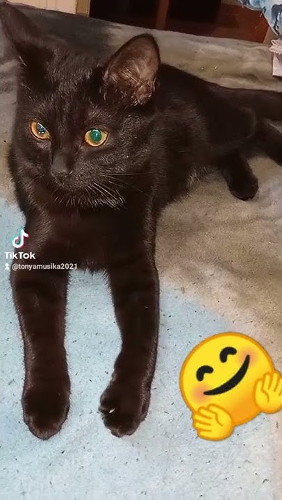 что такое сусеки? 😆😅😂 - YouTube